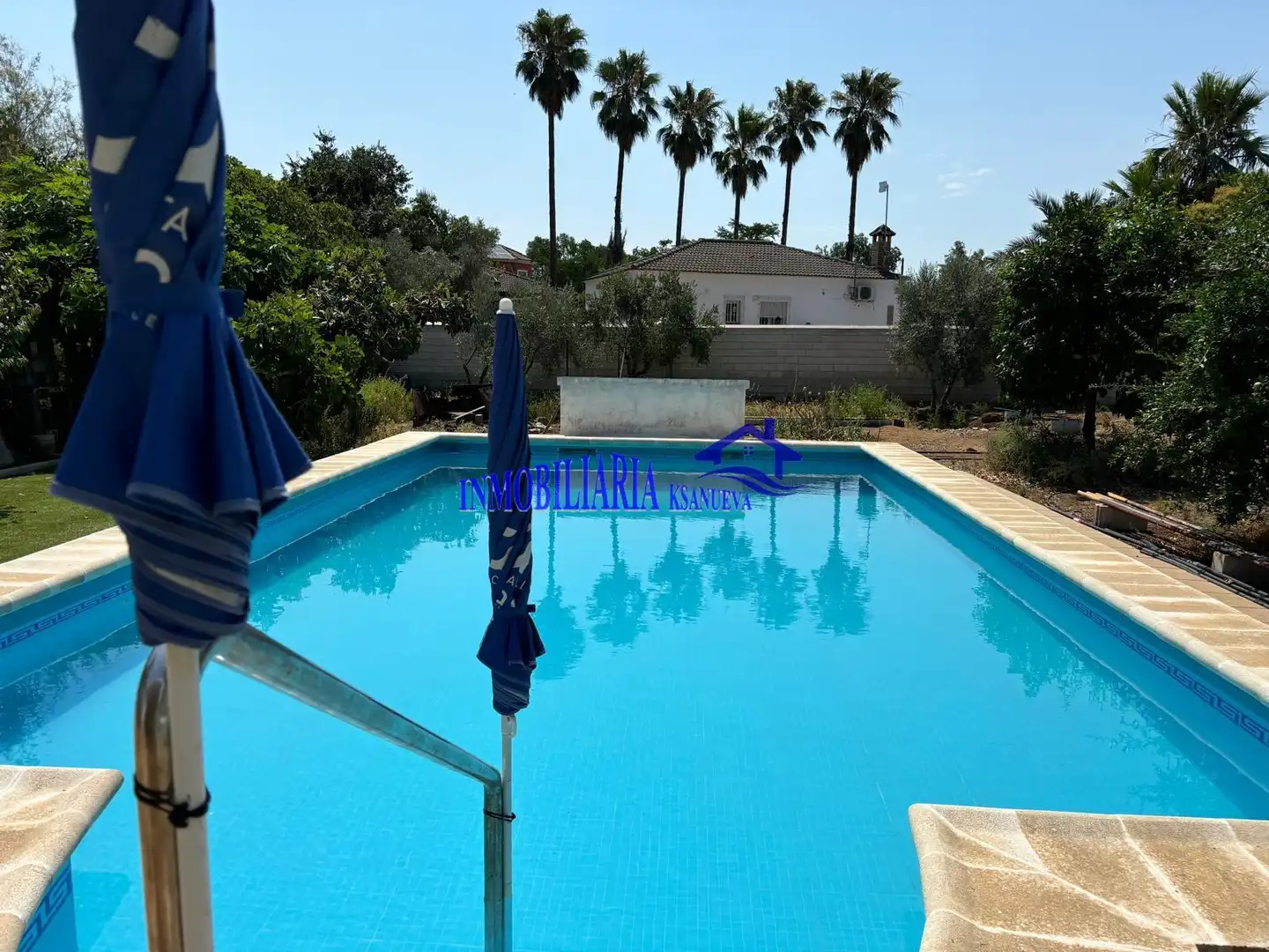 Swimming pool of Country homes for sale in Córdoba