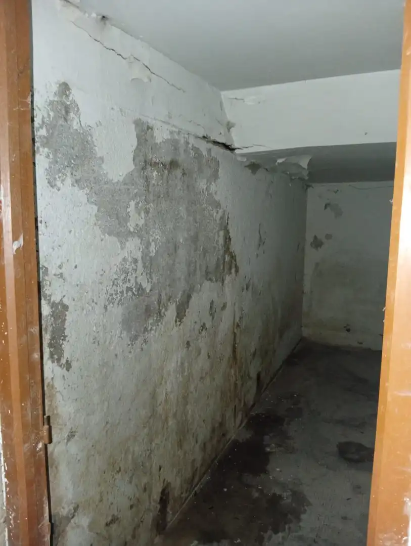 Commercial properties for sale in Morón de la Frontera