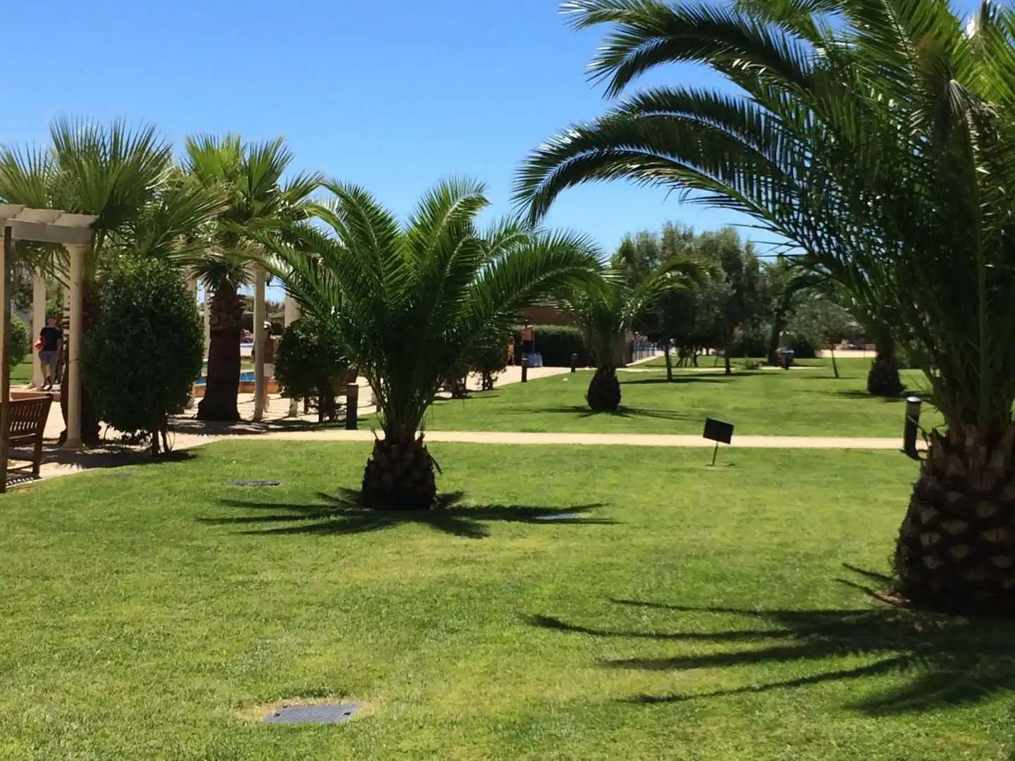 Jardín de Apartamento de alquiler en Ayamonte con Terraza, Amueblado y Piscina comunitaria