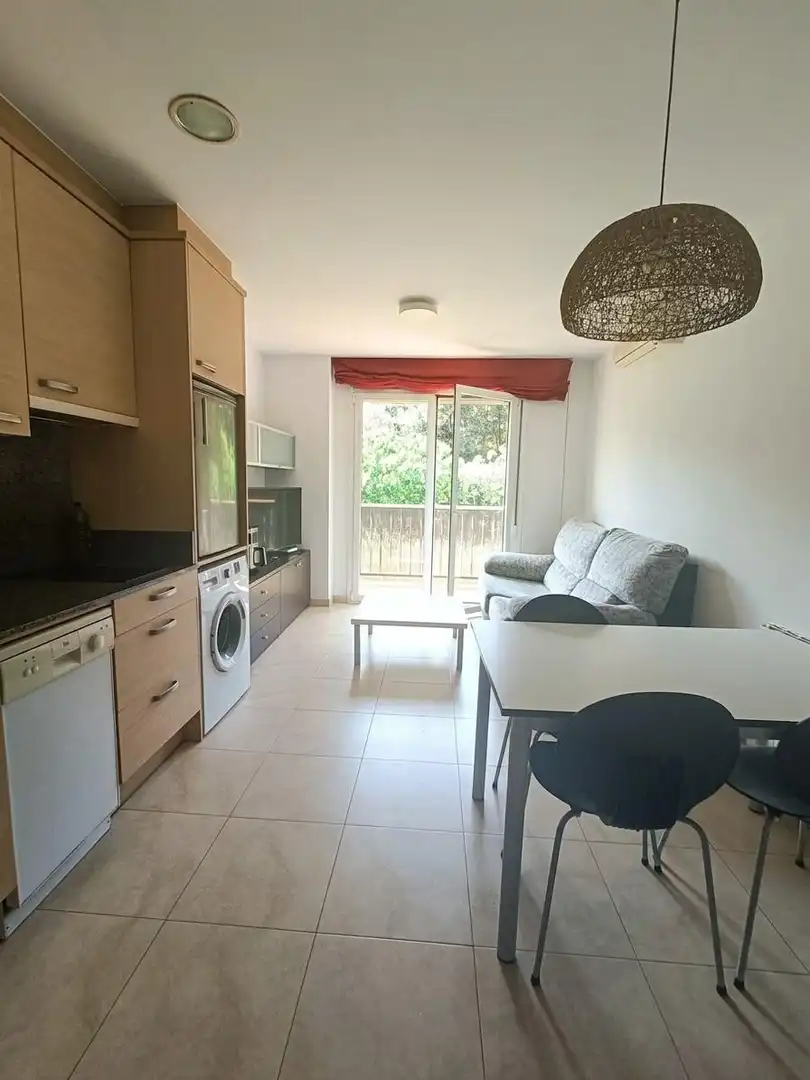 Sala d'estar de Pis en venda en Manresa amb Balcó