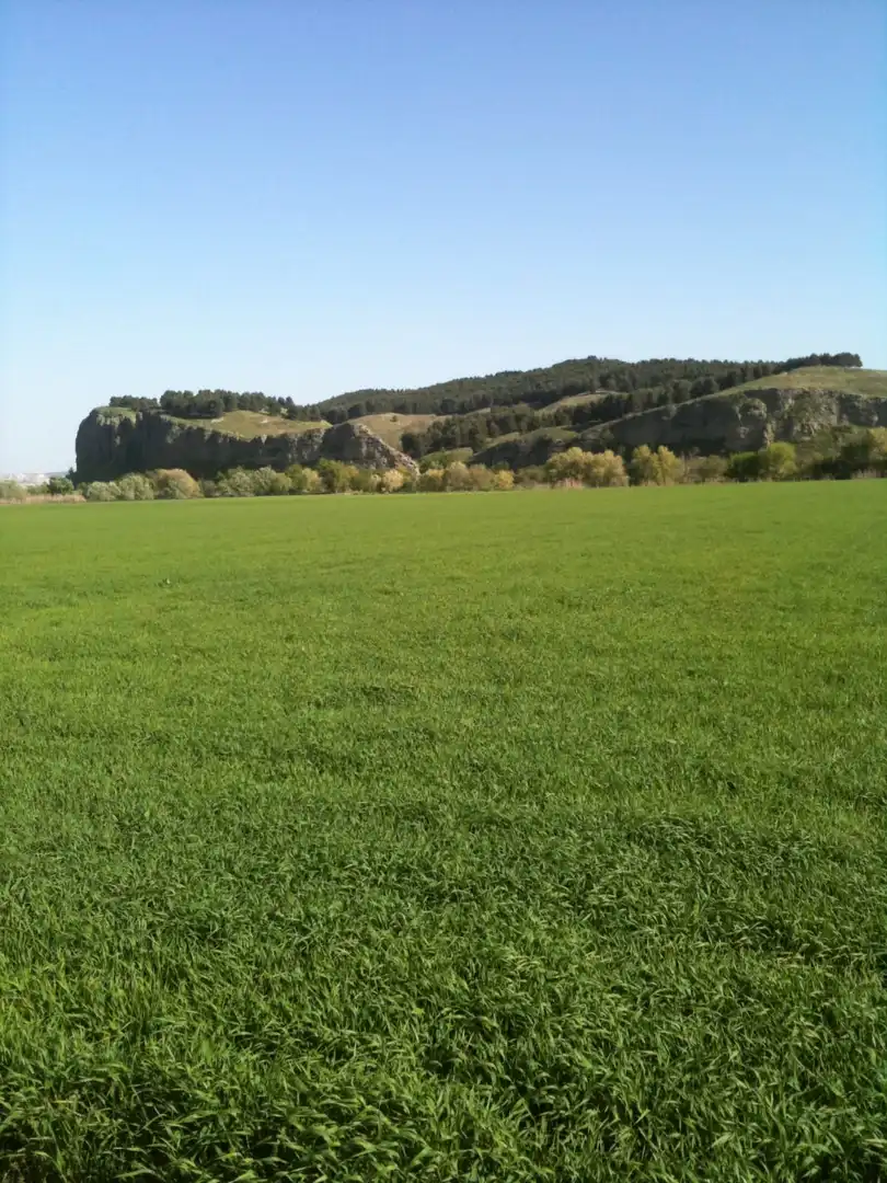 Residential zum Verkauf in Rivas-Vaciamadrid