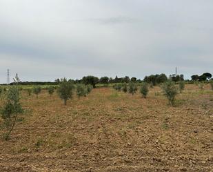 Finca rústica en venda en Hinojos