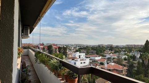 Photo 4 of Flat for sale in Fidelio, Santa Clara, Sevilla