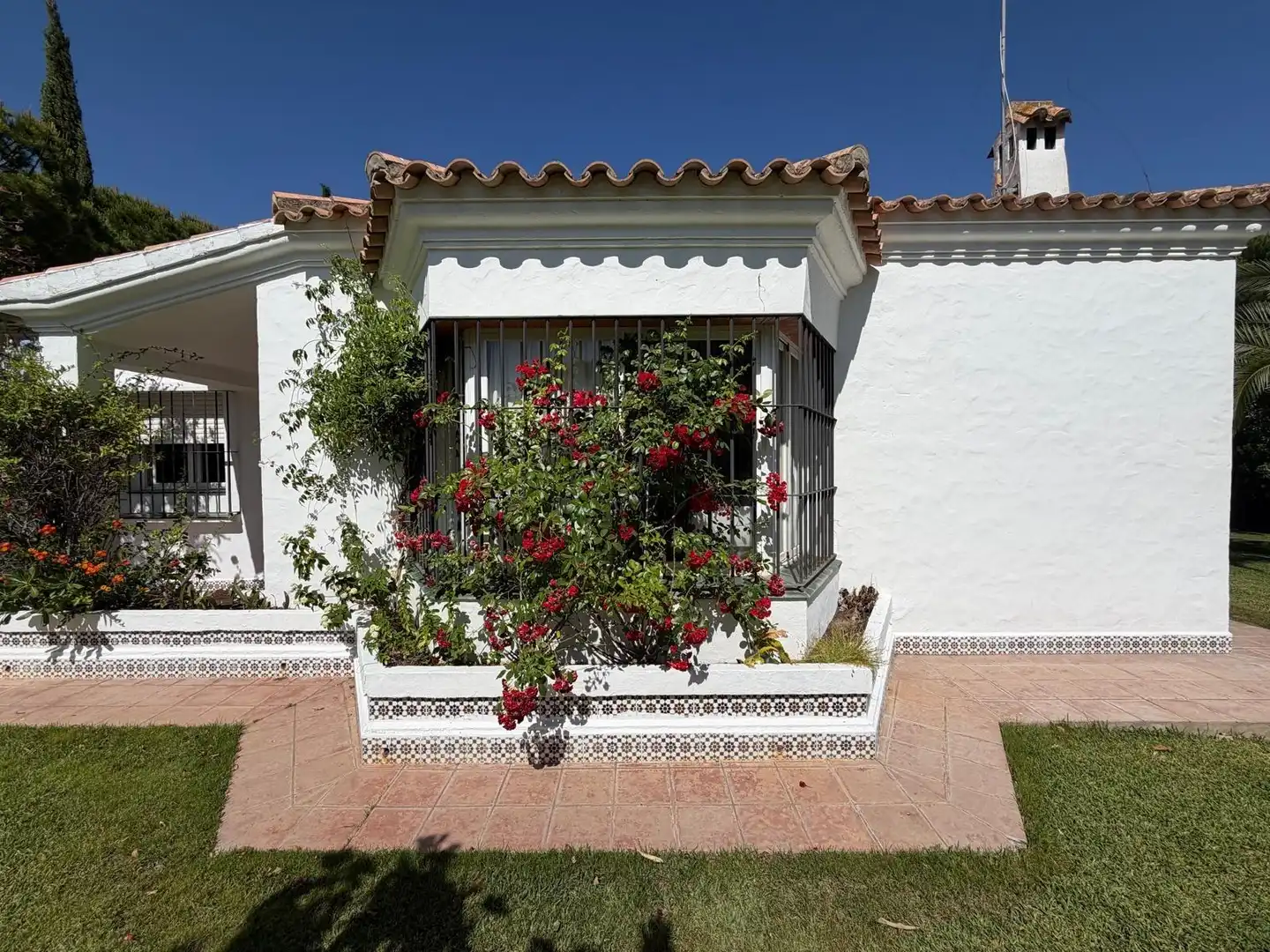 Exterior view of Houses for rent in Conil de la Frontera