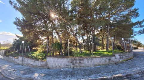 Parcella urbanitzable cantonera de 795 m2 a Sant Jaume Sesoliveres, imatge 2