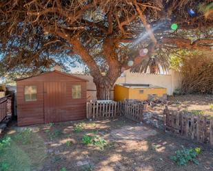 Jardí de Casa o xalet en venda en Tacoronte amb Terrassa