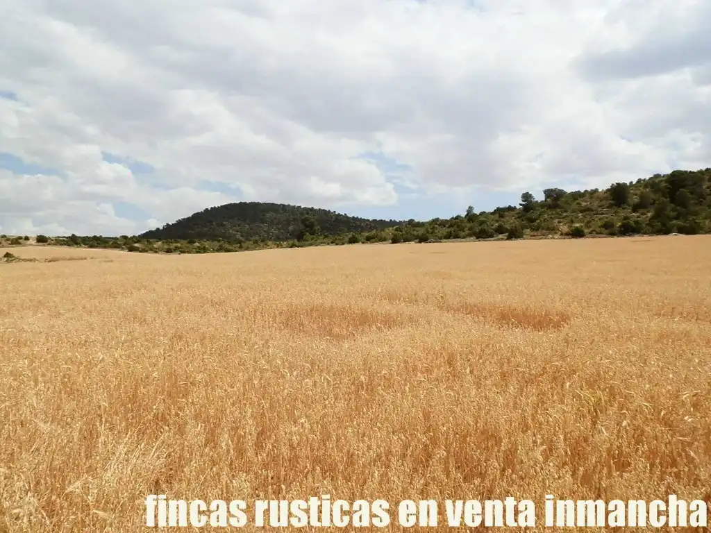 Rural land for sale in Chinchilla de Monte-Aragón, imagen 10