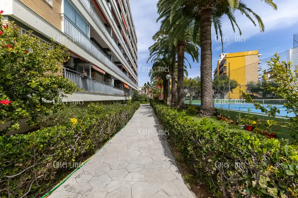 Vista exterior de Apartamento en venta en La Pobla de Farnals con Terraza, Amueblado y Piscina comunitaria