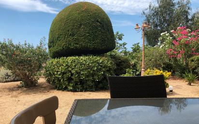 Jardí de Casa o xalet en venda en Pineda de Mar amb Jardí privat, Terrassa i Traster