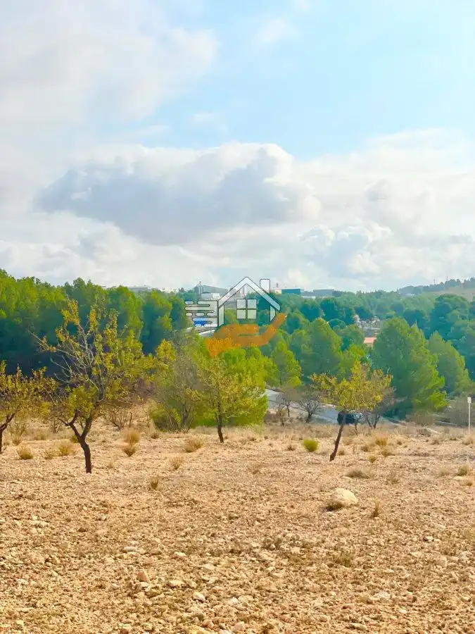 Terreny residencial en venda a Vélez-Rubio, imagen 11