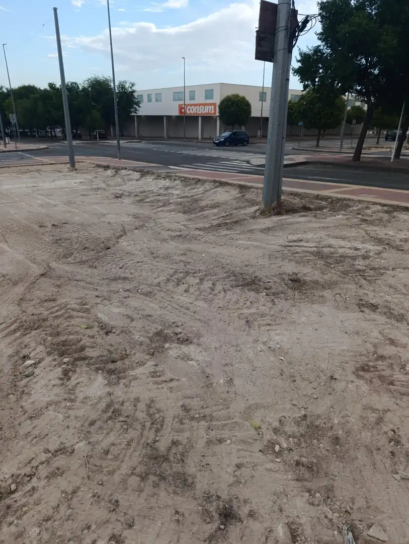 Lands and plots for sale in Bullas, imagen 6