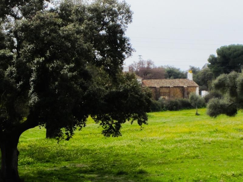 Casa o xalet en venda en Cala amb Aire condicionat i Terrassa