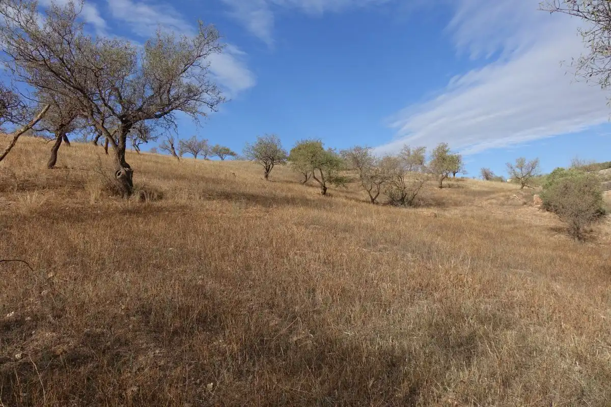 Finca rústica en venta en Lanjarón