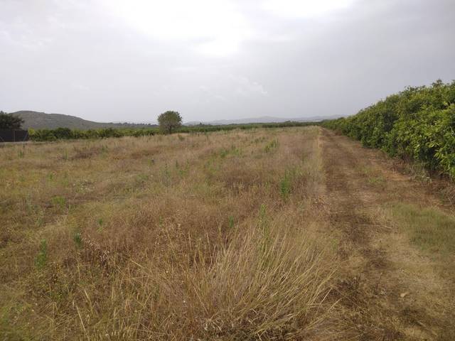 Terreno en Venta en N/A en Partidas de interior - Zona Rústica