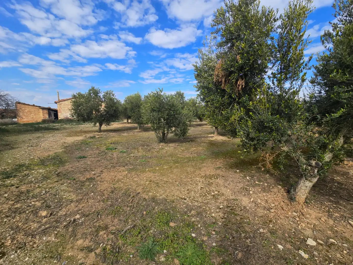 Finca rústica en venda a Carrer Sèquia, Aitona