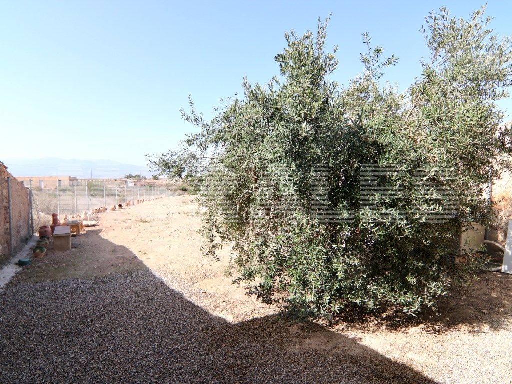 Casa o chalet en venta en Totana