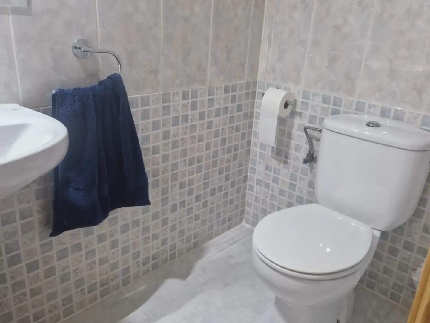 Baño de Casa o chalet en venta en Campanillas