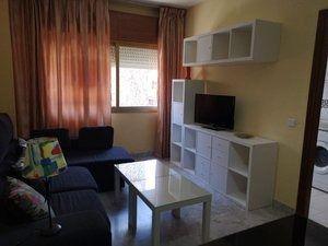 Living room of Flat to rent in  Sevilla Capital  with Air Conditioner, Heating and Private garden