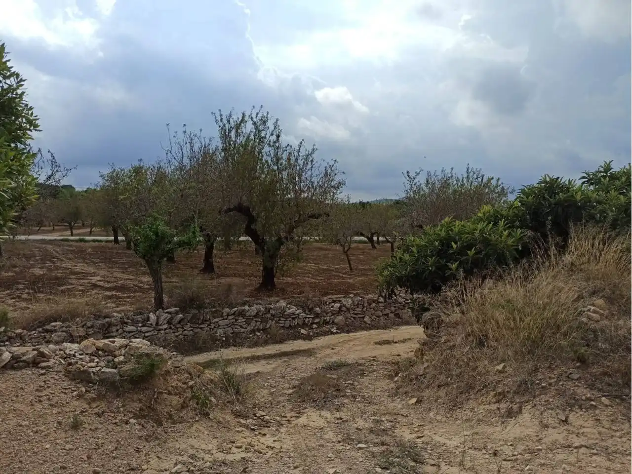 Terreno rustico in vendita a Cervera del Maestre, imagen 18