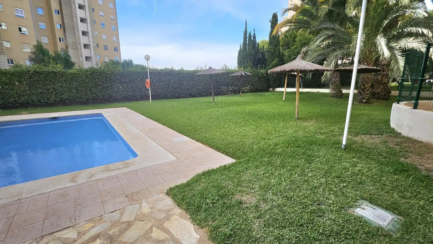 Apartments for rent in Playa Muchavista