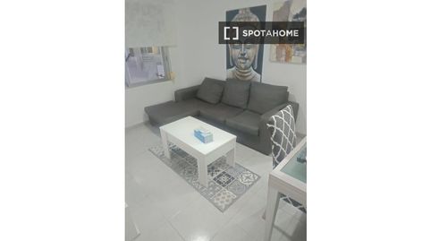 Foto 3 de Habitación en Vistahermosa, Alicante / Alacant