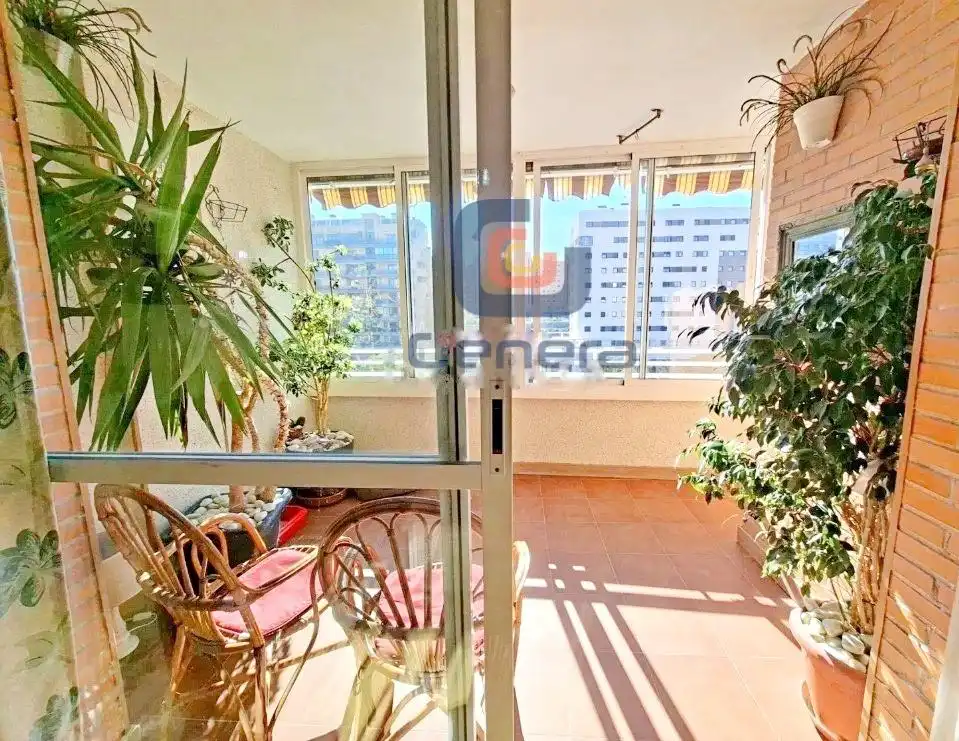 Appartamento con piscina in vendita a Playa de San Juan - El Cabo de las Huertas, imagen 48