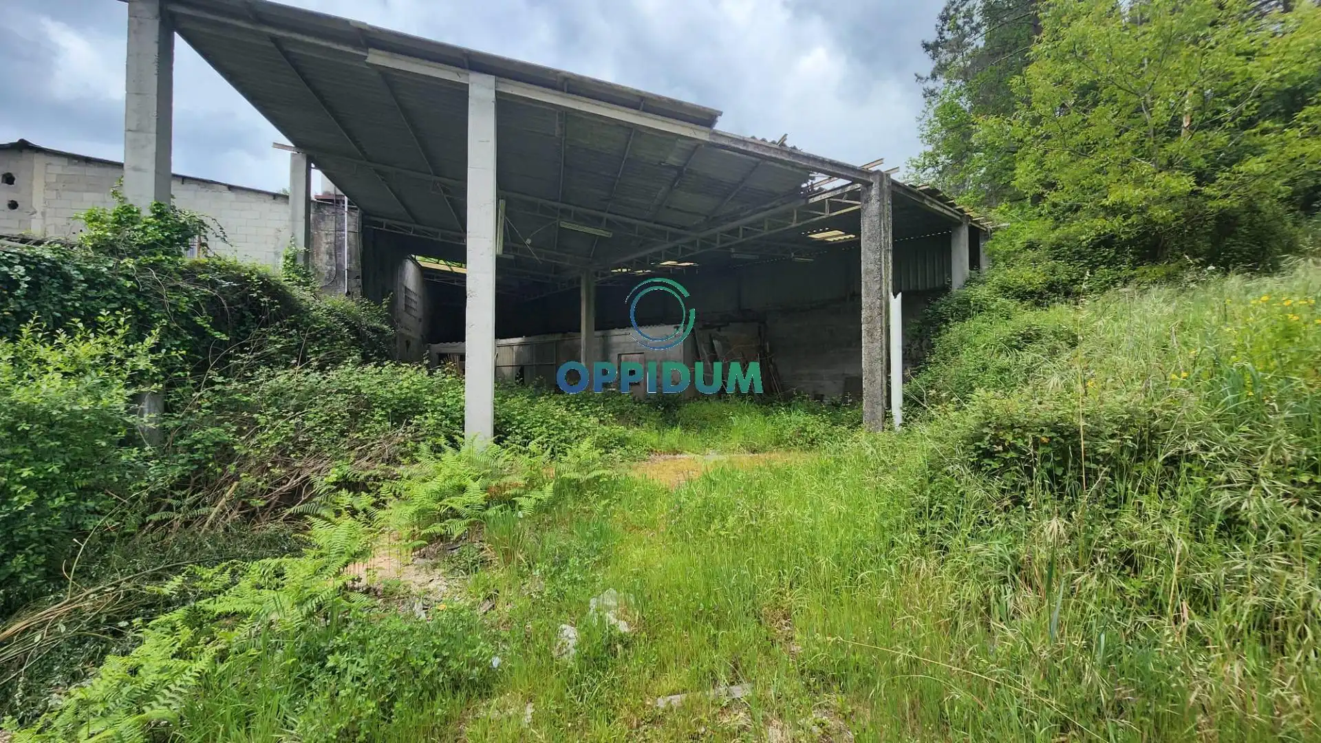 Industrial buildings for sale in Touro