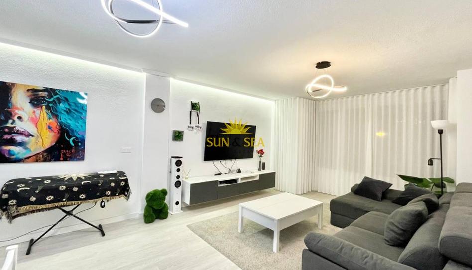 Photo 1 of Apartment to rent in Avenida Habaneras - Curva de Palangre, Alicante