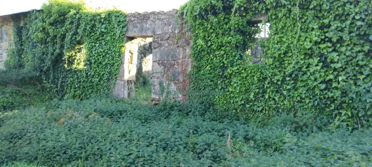 Vista exterior de Casa o chalet en venta en A Cañiza   con Calefacción y Jardín privado