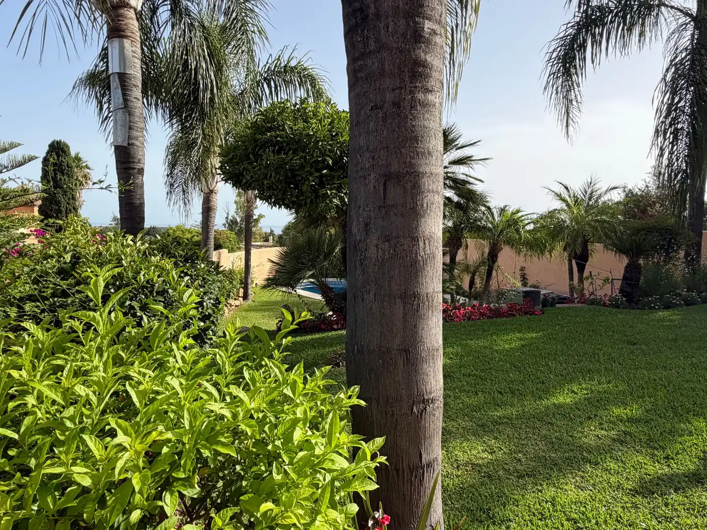 Garden of Detached homes for sale in Marbella  with Terrace and Balcony