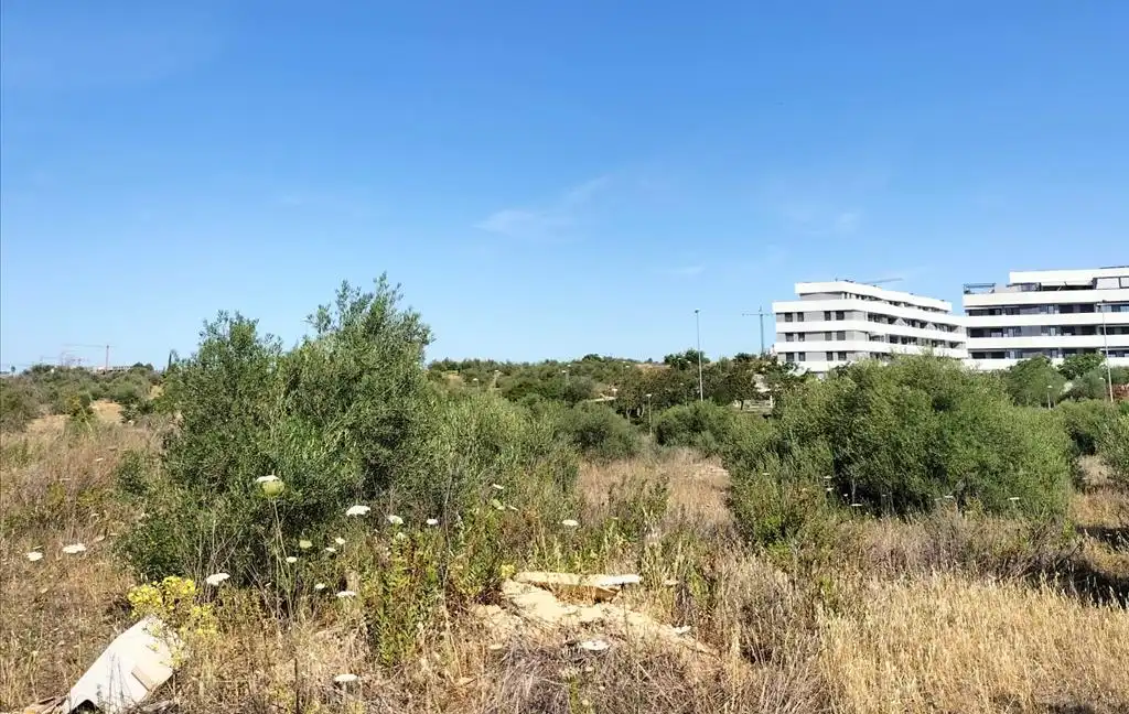 Terreni e lotti in vendita a Carretera de Palomares, imagen 28