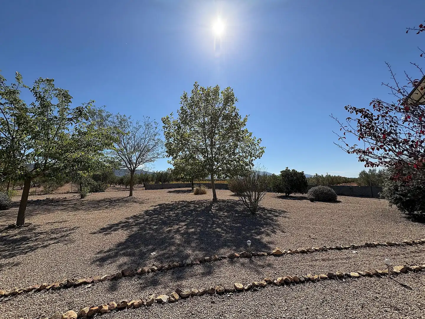 Casa o xalet en venda en Biar amb Calefacció, Jardí privat i Parquet