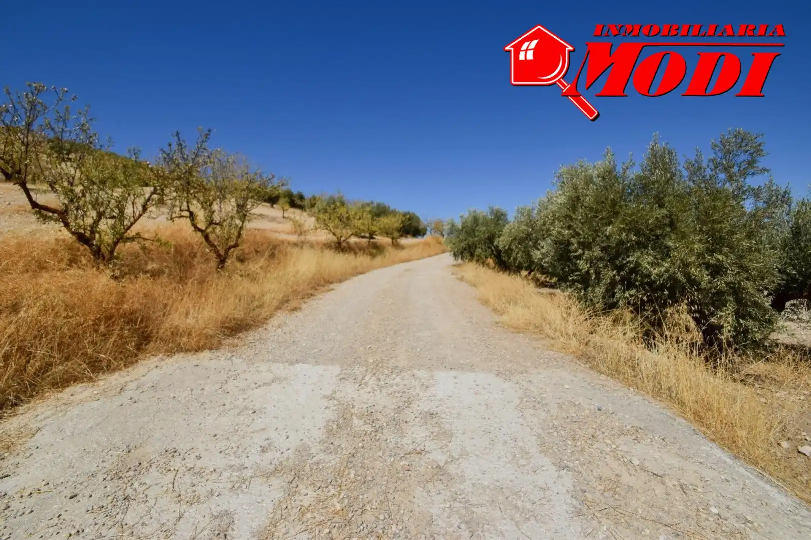 Finca rústica en venda en Cacín amb Jardí privat