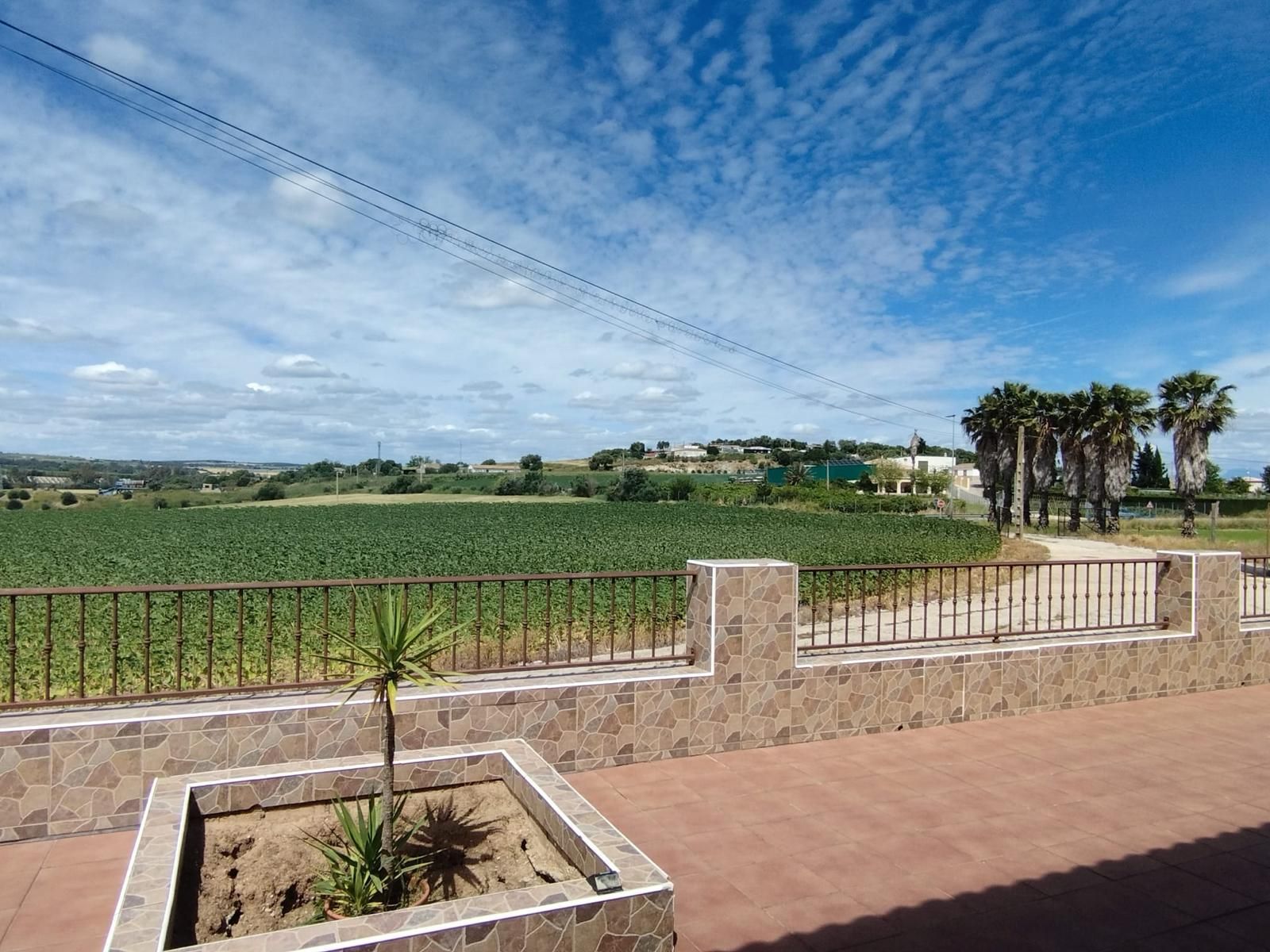 Terrassa de Finca rústica en venda en Jerez de la Frontera