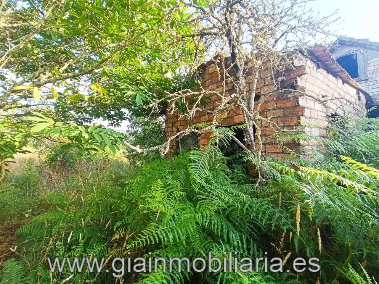 Casa en venta en Calle Ceo, imagen 25