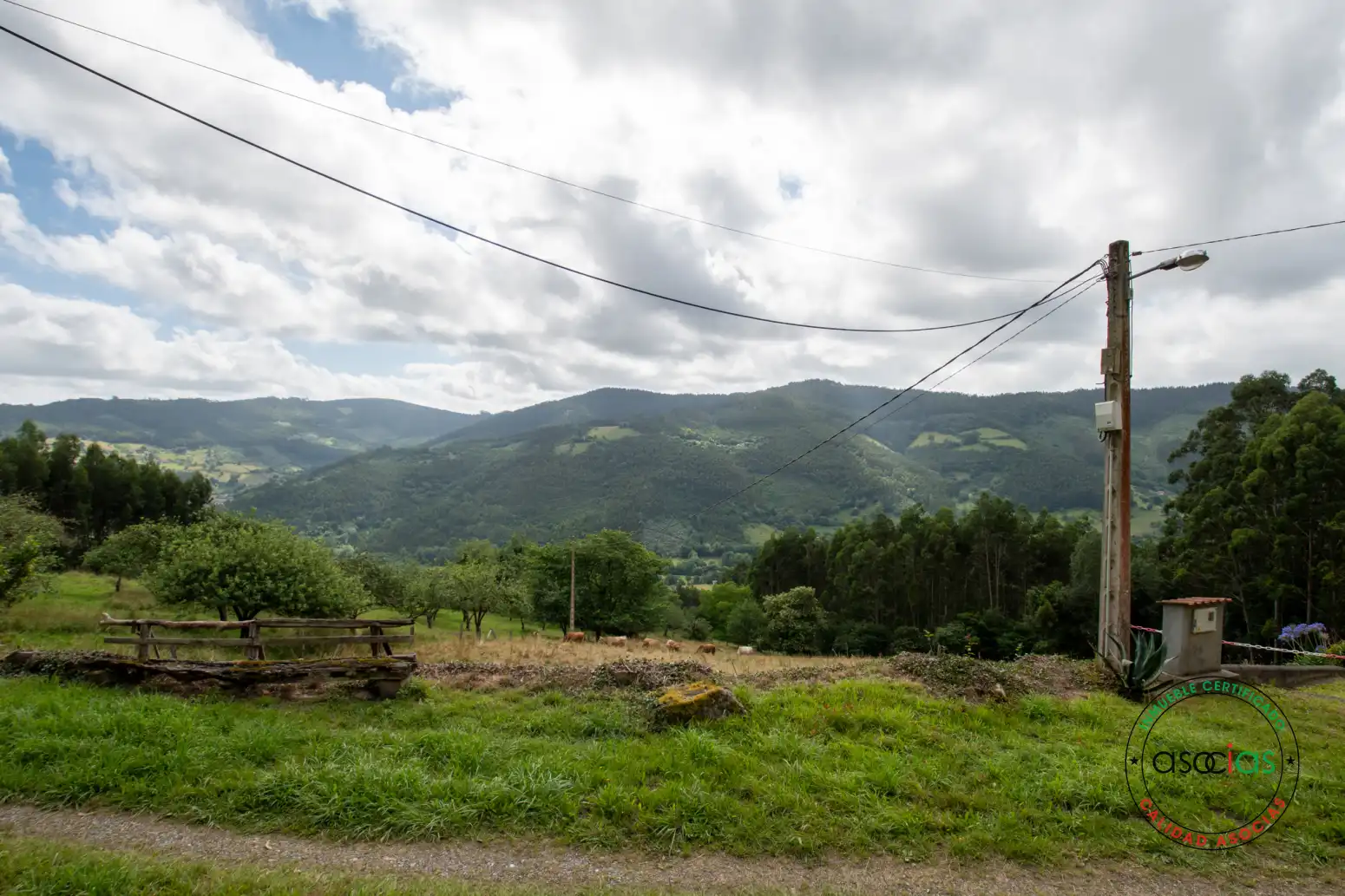 Casa o xalet en venda en Villaviciosa amb Jardí privat i Traster