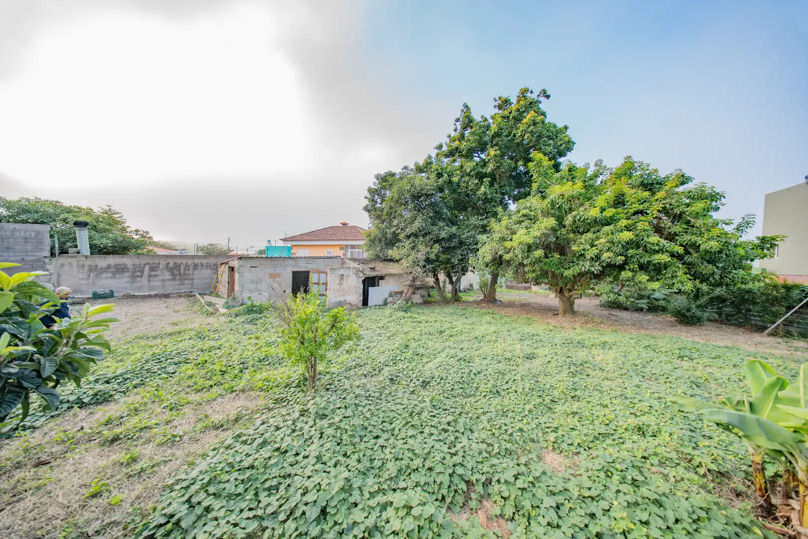 Casa o chalet en venta en Tacoronte