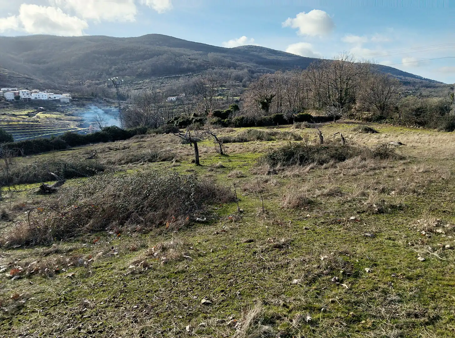 Terreno en venta en Casas del Castañar