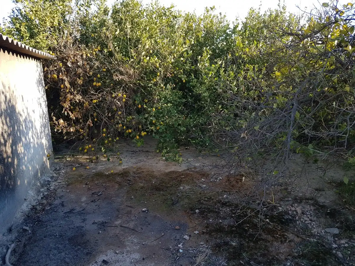 Finca rústica en venta en Ulea