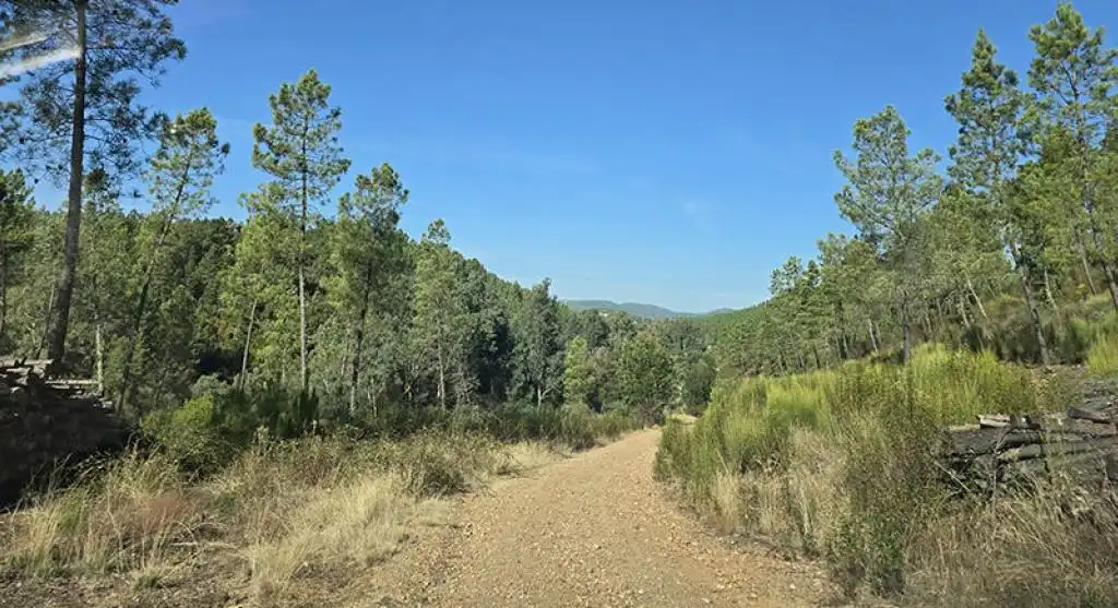Terreni e lotti in vendita a Pedanías de Badajoz