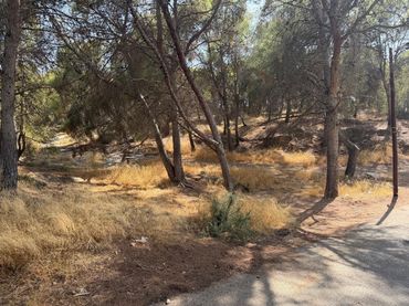 Terreno residencial en venta en Pedanías Este