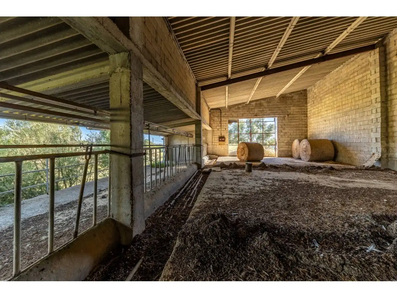 Terreno rustico in vendita a Llucmajor pueblo, imagen 65