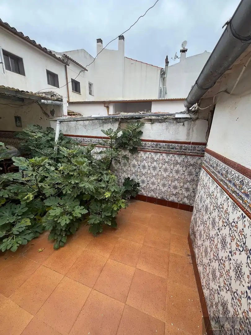 Casa en venta en Rute, imagen 19