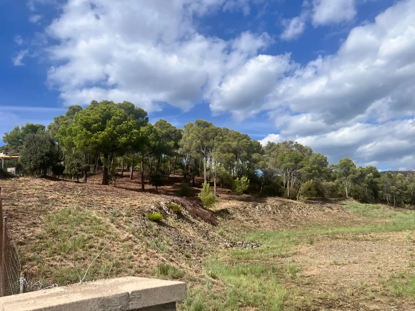 Terreno rústico en venta en Carrer Serra Cavallera 2, imagen 7