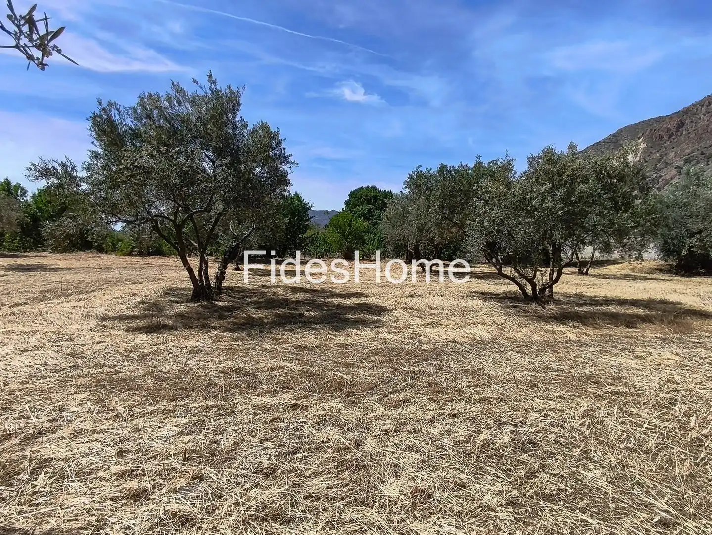 Rural land for sale in XFJ3+526 Nigüelas 0