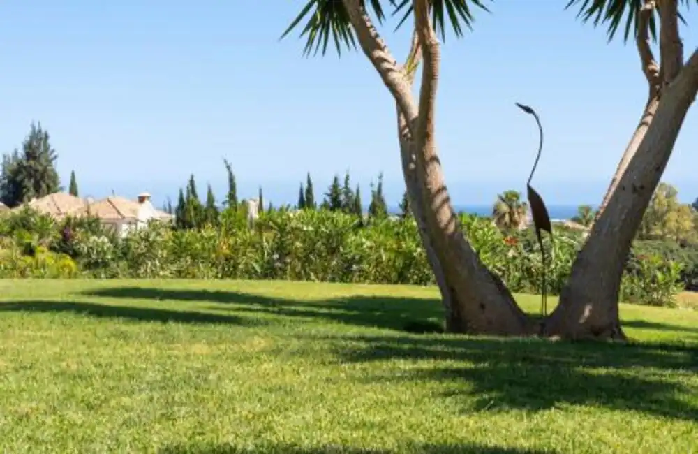 Casa con terrazza in vendita a CASIOPEA-HAZA DEL CONDE 24, imagen 7