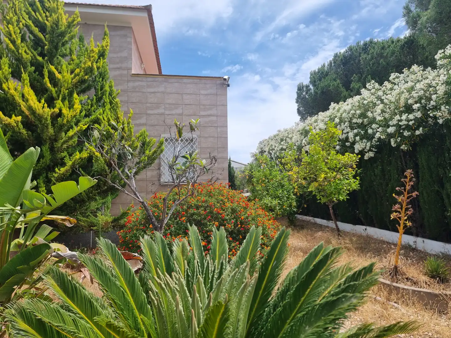 Jardín de Casa o chalet en venta en Aljaraque con Jardín privado, Terraza y Trastero