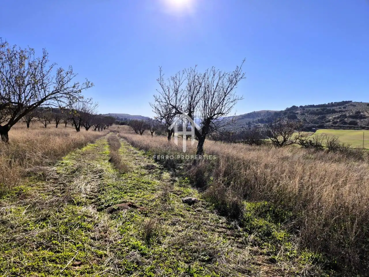 Terreni e lotti in vendita a Alhama de Granada, imagen 12