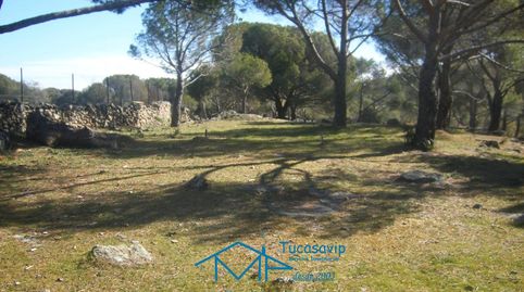 Foto 4 de Terreny en venda a Cebreros, Ávila