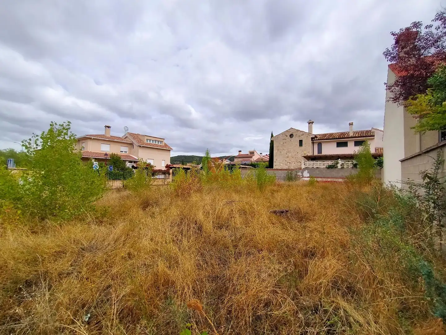 Rural land for sale in LOS OLIVOS, imagen 8